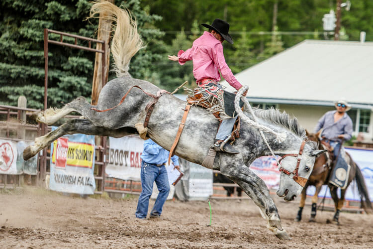 Saddle Bronc Riding Rodeo