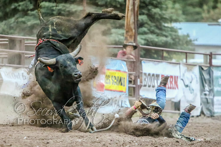 Bull Riding Rodeo