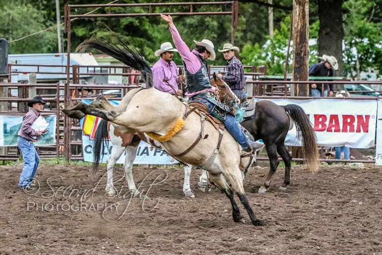 Saddle Bronc Riding Rodeo