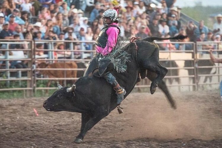 Bull Riding Rodeo